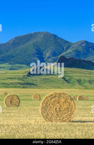 hay bales below the adel mountains near cascade, montana Stock Photo