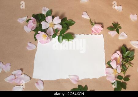 blank paper, pink buds flowers and rose petals, green leaves are spread out on a beige background Stock Photo