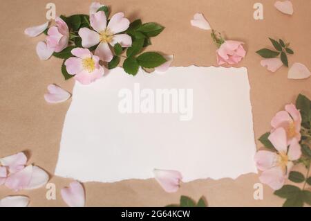 blank paper, pink buds flowers and rose petals, green leaves are spread out on a beige background Stock Photo