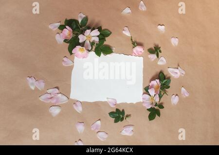 blank paper, pink buds flowers and rose petals, green leaves are spread out on a beige background Stock Photo