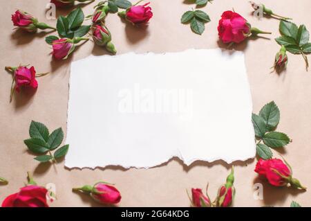blank white paper, red buds flowers and rose petals, green leaves are spread out on a beige background Stock Photo