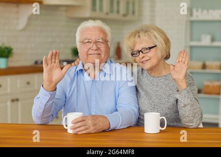 Happy senior couple waving hands, looking at camera and smiling while drinking tea in the kitchen Stock Photo