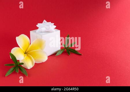 Small gift box with a bow and tropical flower. On red, copy space. Stock Photo