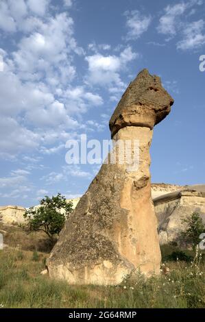 landmark of nature in Turkey the fairy chimney is volcanic rock formation in Cappadocia near Zelve Stock Photo