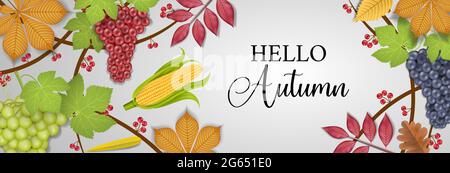 Hello autumn banner with grapes, fall leaves and corn cob Stock Vector