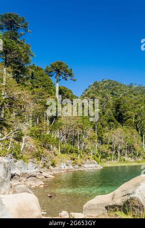 Lago Verde lake in National Park Huerquehue, Chile Stock Photo