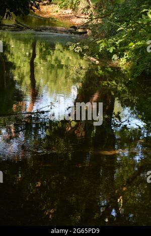 Purely Beautiful British Landscape Summer 2021, Cherry Hinton Hall Park Cambridge UK Stock Photo