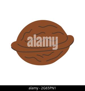 autumn walnut flat style hand drawn icon Stock Vector