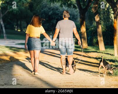 Rear view of loving couple holding hands walking away with their dogs Stock Photo