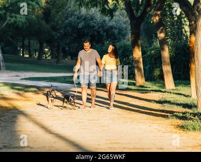 Couple holding hands walking their dogs Stock Photo