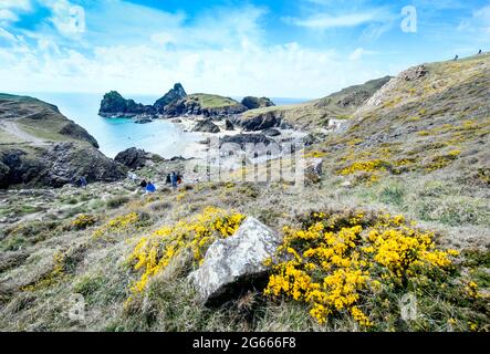 The scene at Kynance Cove on The Lizard in Cornwall as tourists began to return to the coast after lockdown in April 2021 Stock Photo