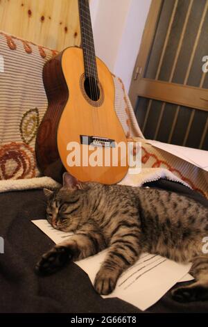 A cat lying on top of a guitar Stock Photo