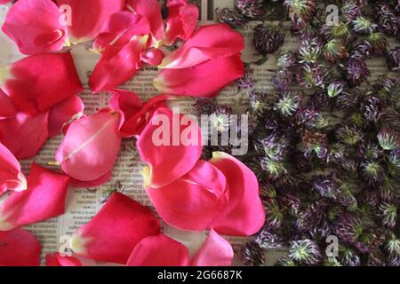 A close up of a flower Stock Photo