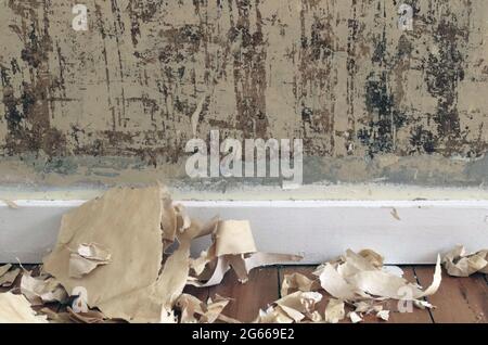 Wallpaper ripped off wall, lying on floor. Stock Photo