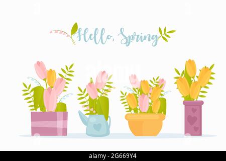 Hello spring flat vector greeting card template. Garden flowers in creative color pots on white background. Tulips twigs and plant branch branches Stock Vector