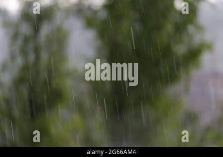 Blurred raindrops on the glass against the background of a blurred green tree Stock Photo