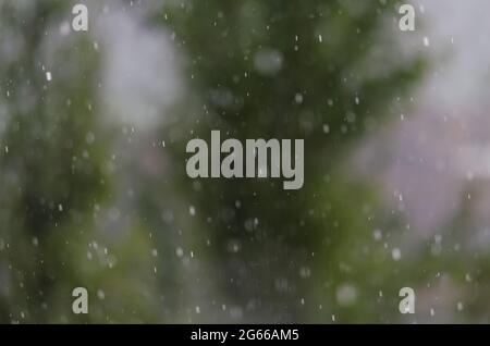 Blurred raindrops on the glass against the background of a blurred green tree Stock Photo