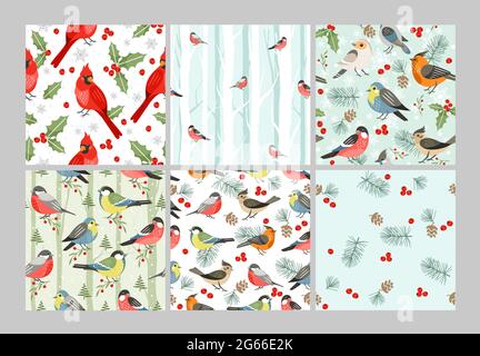 Winter birds vector seamless patterns set. Cold season songbirds cartoon illustrations. Red cardinal, Christmas symbol with mistletoe leaves and Stock Vector