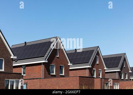 Solar panels on the roof of new built houses in The Netherlands collecting green energy from the sun in a modern and sustainable way Stock Photo