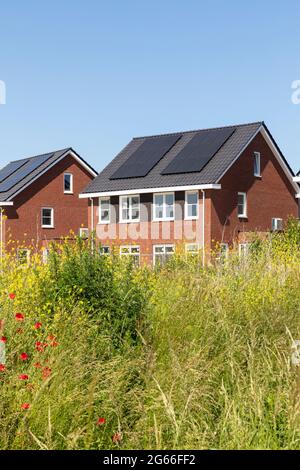 Solar panels on the roof of new built houses in The Netherlands collecting green energy from the sun in a modern and sustainable way. New technology o Stock Photo