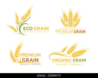 Premium grain flat vector logotype designs set. Organic cereal crops, natural product advertising. Ripe wheat ears cartoon illustrations with Stock Vector