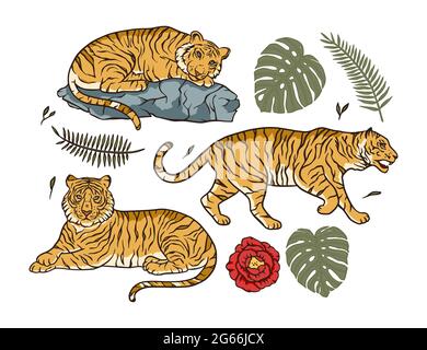 Cartoon bengal tiger animal vector jungle tropical set. Wildlife cat drawing illustration. Chinese new year clipart wild nature collection. Stock Vector