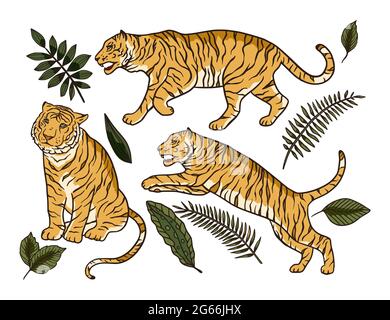 Tiger design Free Stock Vectors