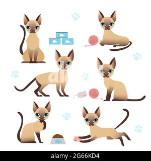 Vector illustration set of cute kitten in various poses with cat paw prints on white background. Collection of cat in different positions - playing Stock Vector