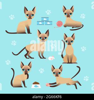 Vector illustration set of cute cat in different poses. Eating, sleeping, sitting and playing kitten in flat cartoon style. Stock Vector
