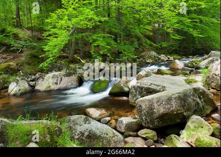 Kamienna river in Szklarska Poręba, Karkonosze Mountains, Poland Stock Photo