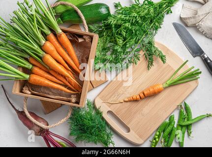 Young carrots, zucchini, beets and peas on a gray background. Cooking a vegetable dish. Stock Photo