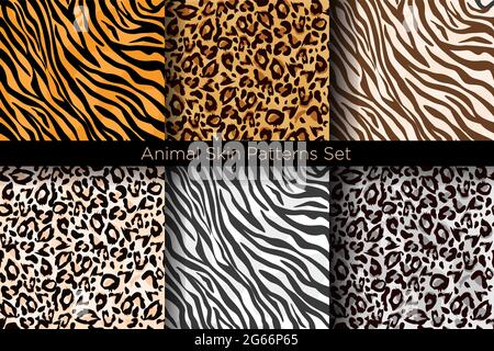 Vector illustration set of animal seamless prints. Tiger and leopard patterns collection in different colors in flat style. Stock Vector