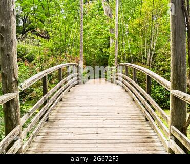Beautiful wooden suspension bridge crosses over a freshwater wetland. Long Island, New York. Stock Photo