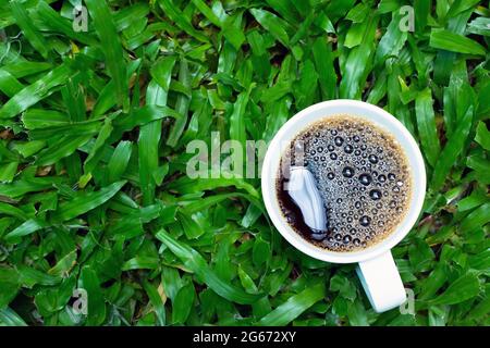 High angle view of coffee on fresh green grass. Copy space. Stock Photo