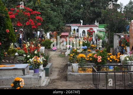 A graveyard with graves decorated for Day of the Dead. Stock Photo