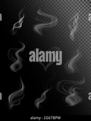 Vector illustration set of smoke or vapor. Steam from a cup of hot coffee or tea isolated on transparent background. Stock Vector