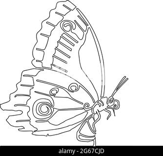 Single line drawing of an Butterfly - Vector line art Stock Vector