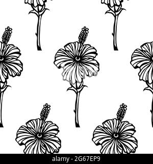 Rose mallows or hibiscus flower vector line art is in Black and white Seamless pattern Stock Vector