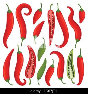 Chilly pepper vector Stock Vector