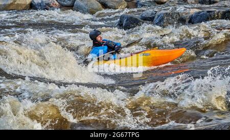Fort Collins, CO, USA - May 7, 2021: Young male kayaker surfing a wave in the Poudre River Whitewater Park.