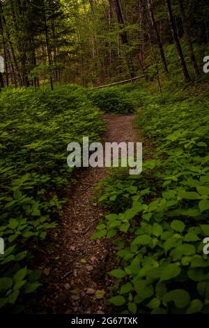 Quiet Walkway Heading Out of Newfound Gap In The Great Smoky Mountains National Park Stock Photo