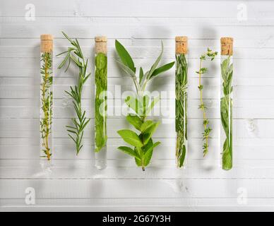 Herbs in test tubes on a white wooden background. Spices in alternative medicine. Stock Photo