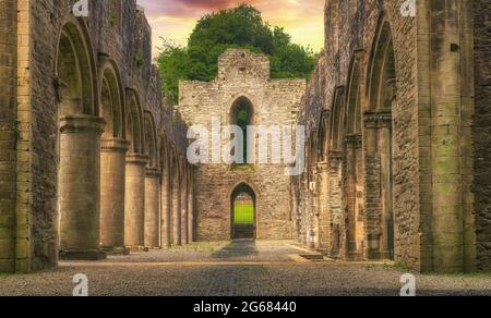 Boyle abbey,Roscommon,Ireland Stock Photo