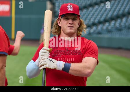 Harrison Bader, is that you?  St louis cardinals baseball, Stl cardinals  baseball, Cardinals baseball