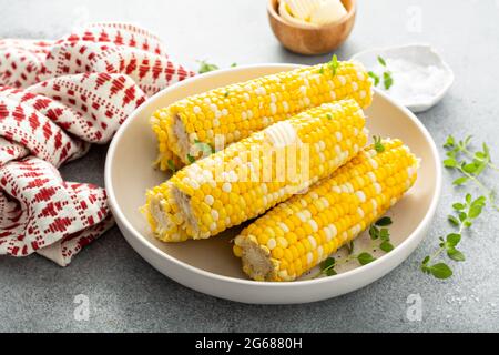Cooked corn on the cob with salt and butter Stock Photo