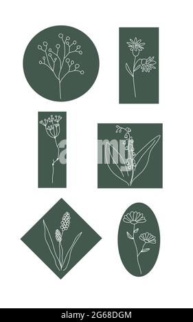 Wild flower icon. Natural cosmetics logo element. Beauty salon isolated sign. Nature symbol. Vector illustration Stock Vector