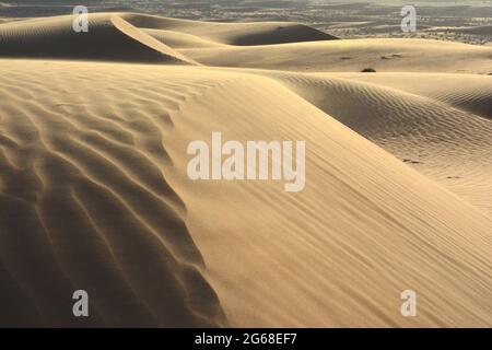 OMAN. WAHIBA SANDS DESERT. THIS DESERT IS 150KM LONG AND 90 KM WIDE. LOCATED AT 3H DRIVE FROM MUSCAT, ITS ORANGE DUNES CAN BE 100M HIGH. Stock Photo