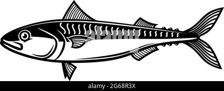 Illustration of mackerel. Design element for logo, label, sign, emblem, poster. Vector illustration Stock Vector