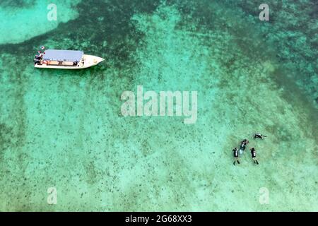 Aerial drone top view of people snorkeling over coral reef with clear blue turquoise ocean water. Tourists swim in the transparent sea between coral r Stock Photo