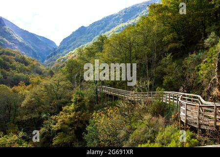 Wooden walkway in Mao River Canyon, Ribeira Sacra, Galicia, Spain Stock Photo